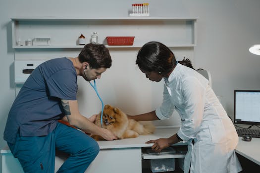 veterinary clinic