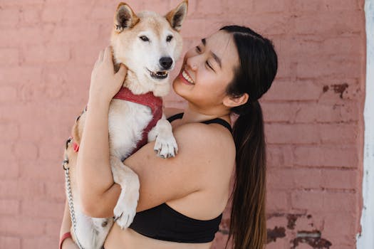 happy shiba inu with its owner
